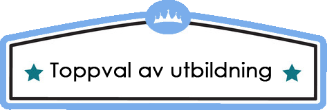 Bäst SEO-kurs på distans